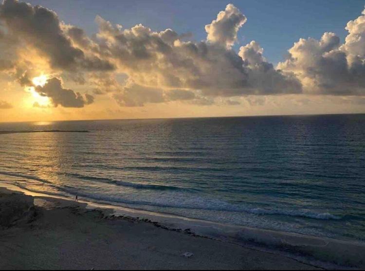 Studio Oceanfront Prime Location 칸쿤 외부 사진